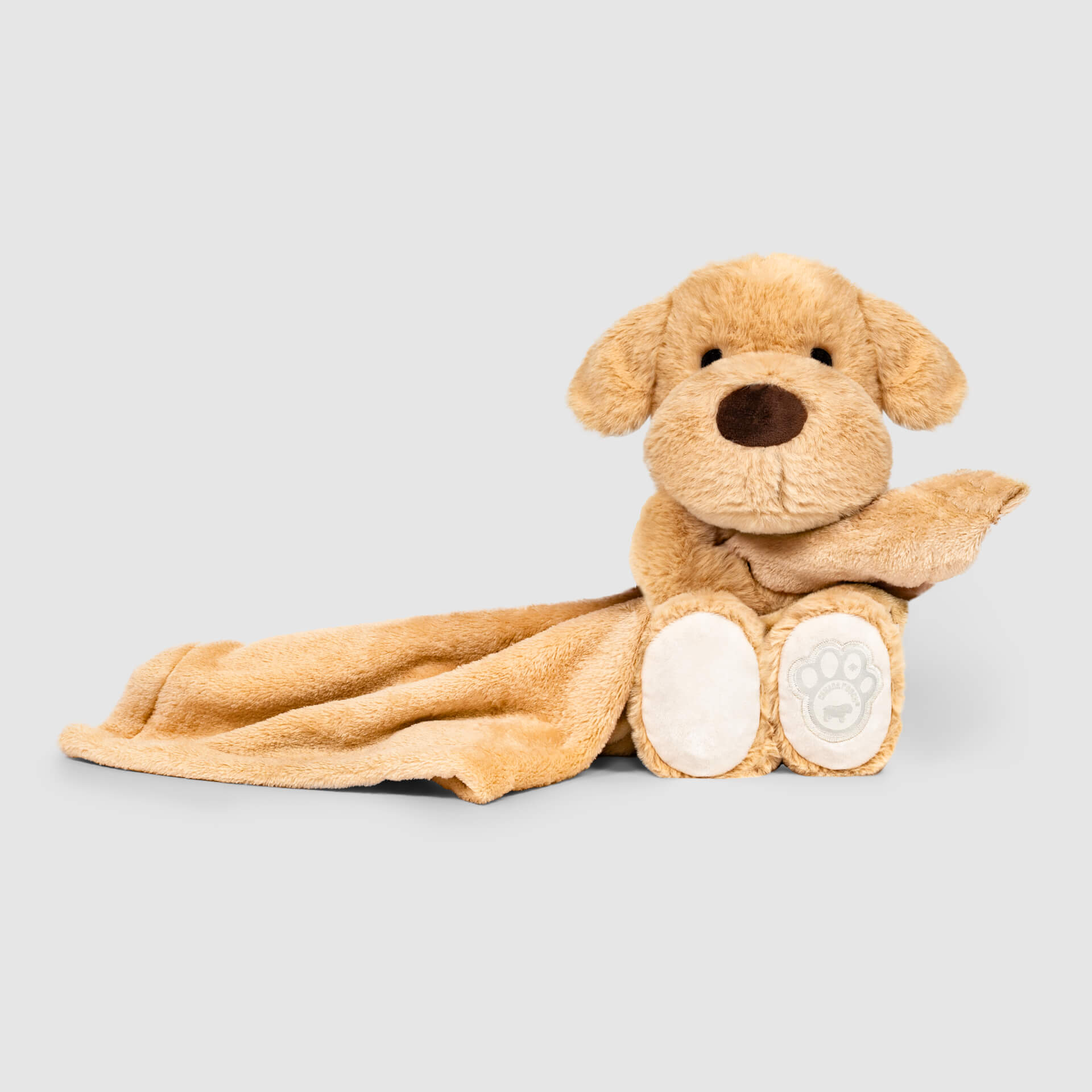 Weighted Calming Toy G8