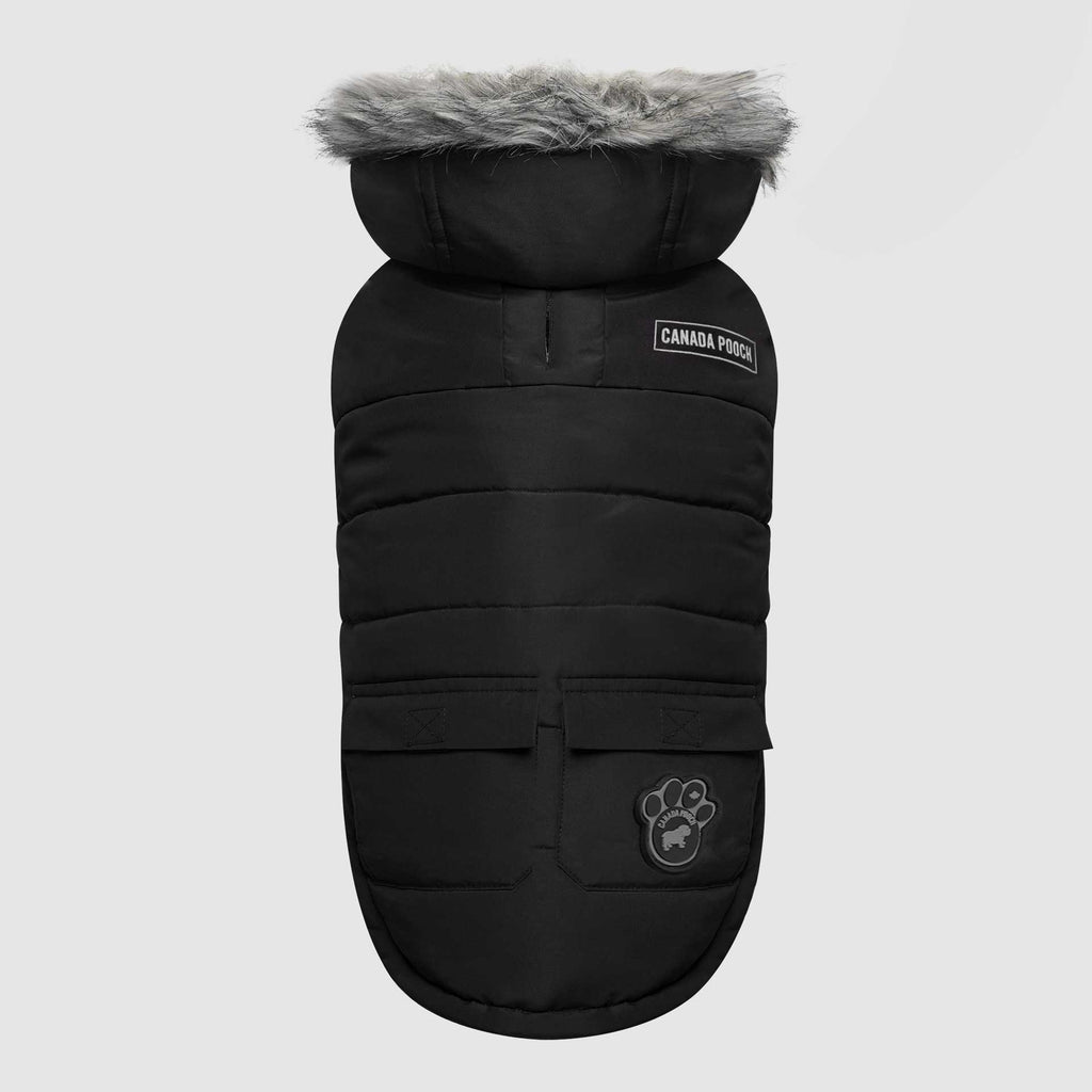 True North Parka C6